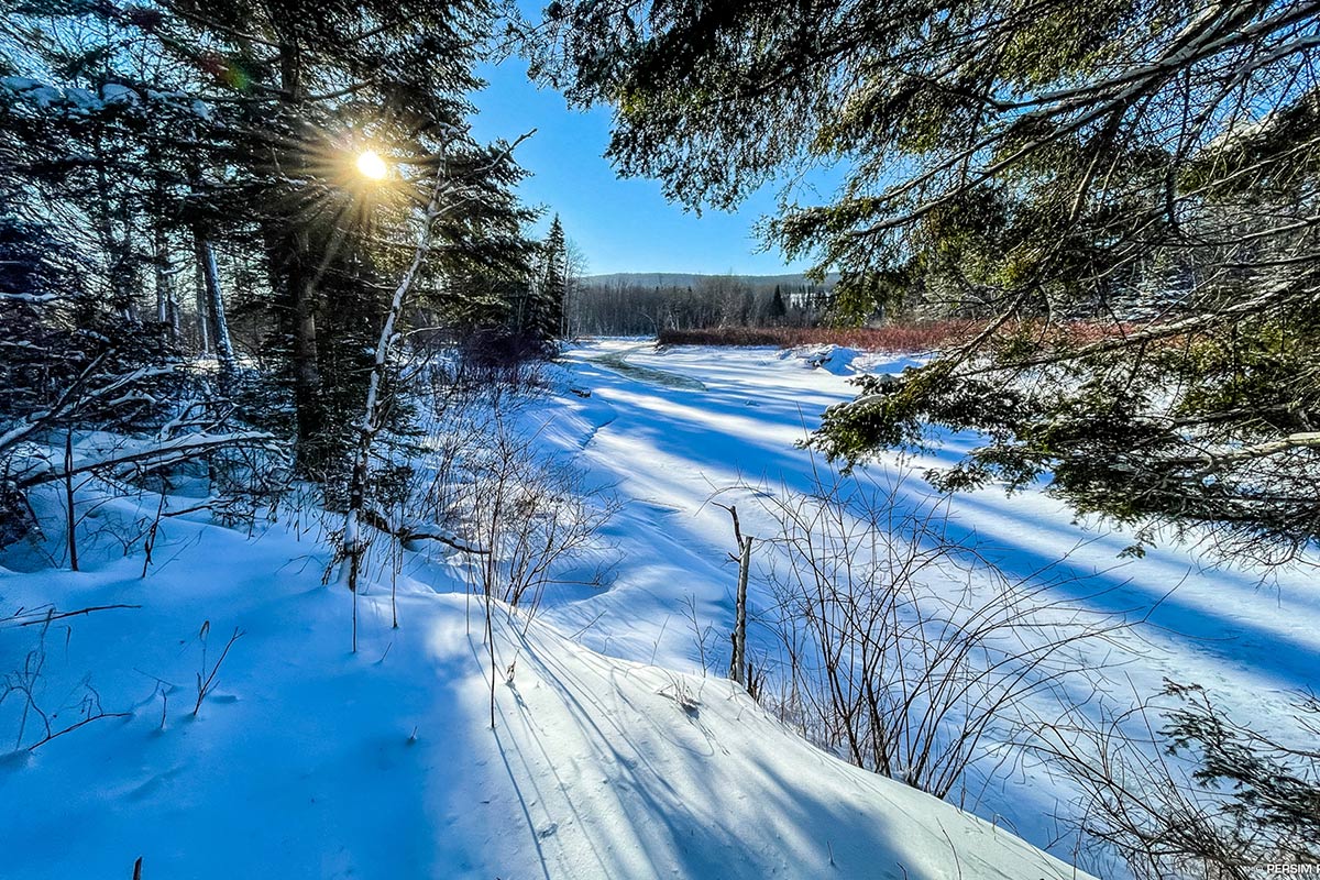 Sentier de raquette en hiver près de l’accueil John, accessible gratuitement. Sépaq - Sentier de raquette